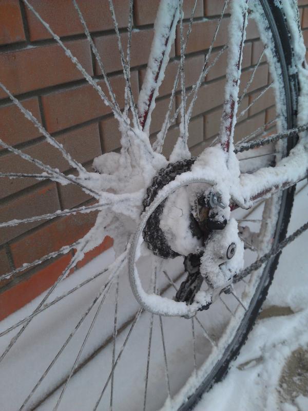 Новогодний аллигатор
