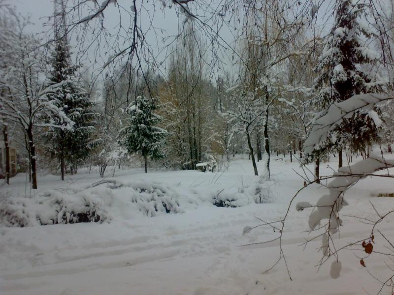 зимние пейзажи