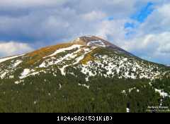 IMG 8785
