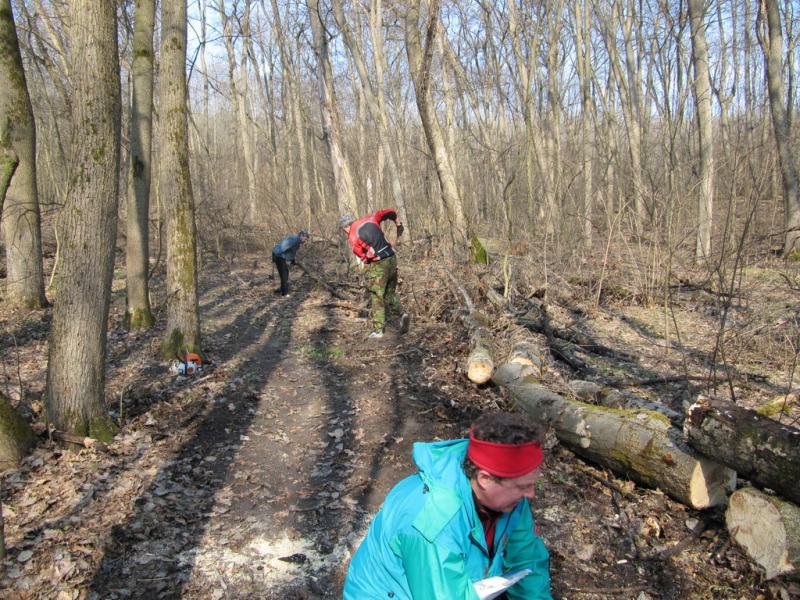2010.04.05.Зел.Гай.