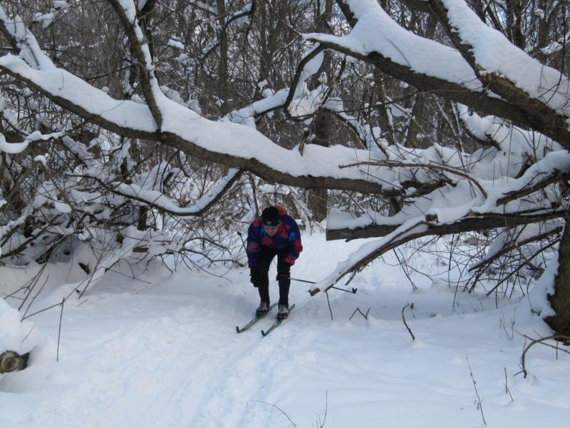 2011.01.30.На лыжах под Пслом.