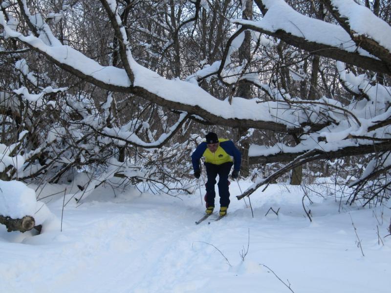 2011.01.30.На лыжах под Пслом.
