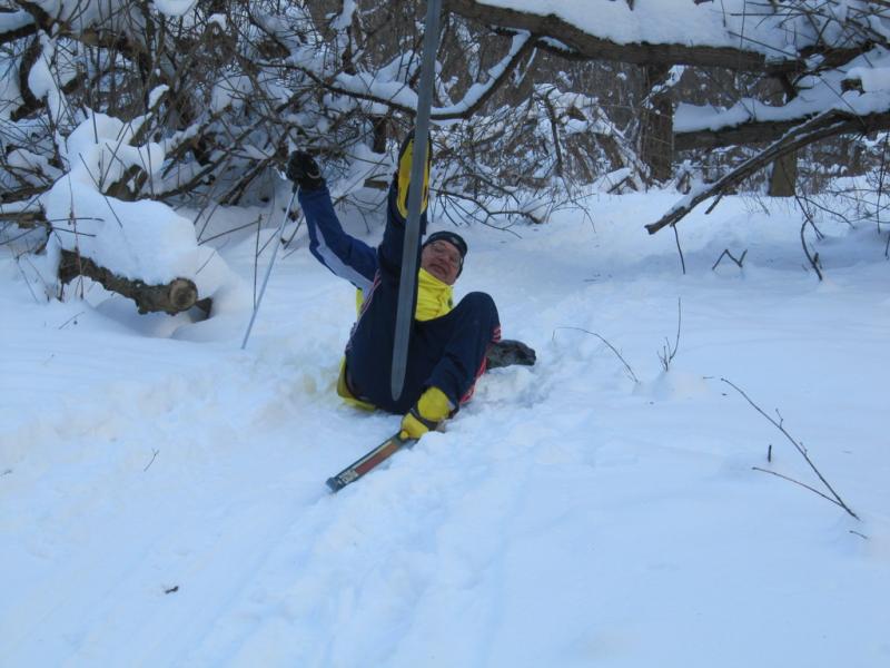 2011.01.30.На лыжах под Пслом.