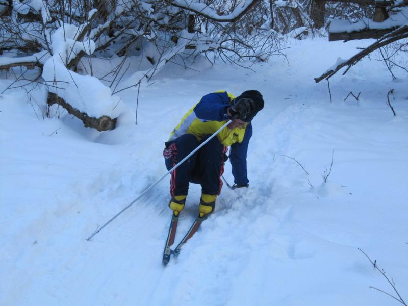 2011.01.30.На лыжах под Пслом.