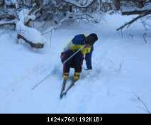 2011.01.30.На лыжах под Пслом.