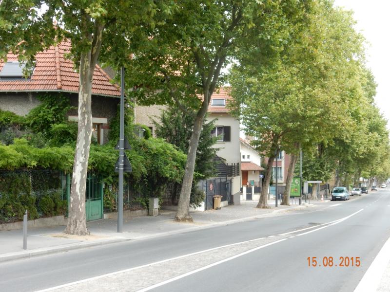 DSCN1433