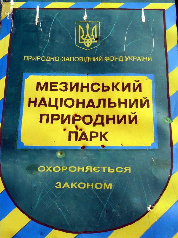 День седьмой