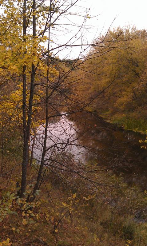 IMAG0754