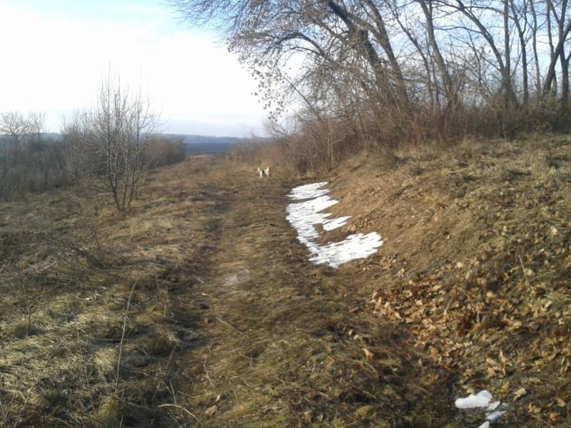2015-12-26 09.27.38