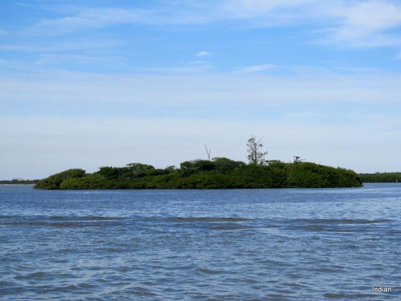 IMG 7379