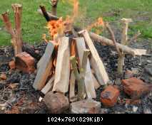 DSCN9185