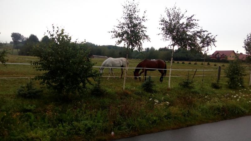 IMG 20170807 090935