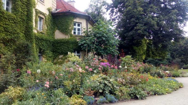 IMG 20170808 112750