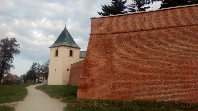 IMG 20170809 062953