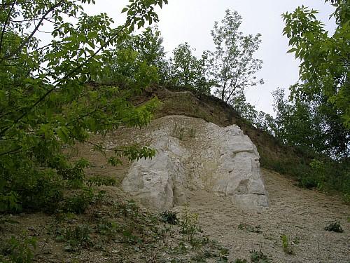 На Выходные в Низовское лесничество и Бариловку