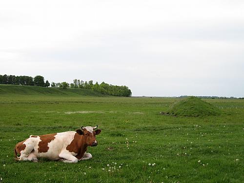 735