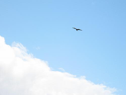 735