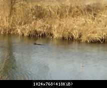 IMG 20180311 131231