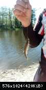 IMG 20180527 094933