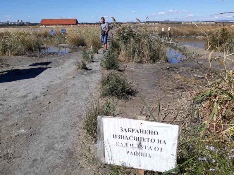 Кал и луга )