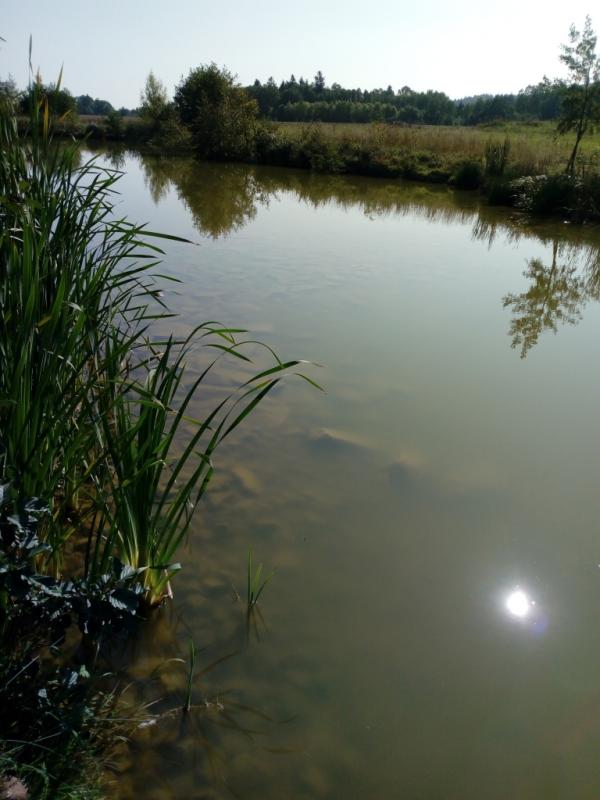 IMG 20180928 131756