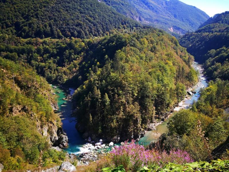 IMG 20180917 110437