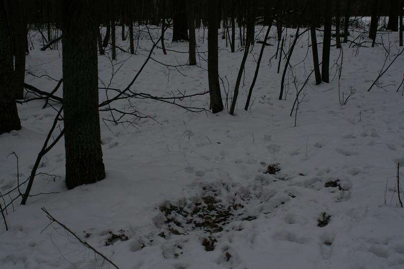поездка 2012