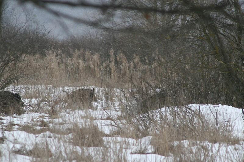 поездка 2012