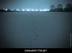 Ночная прогулка