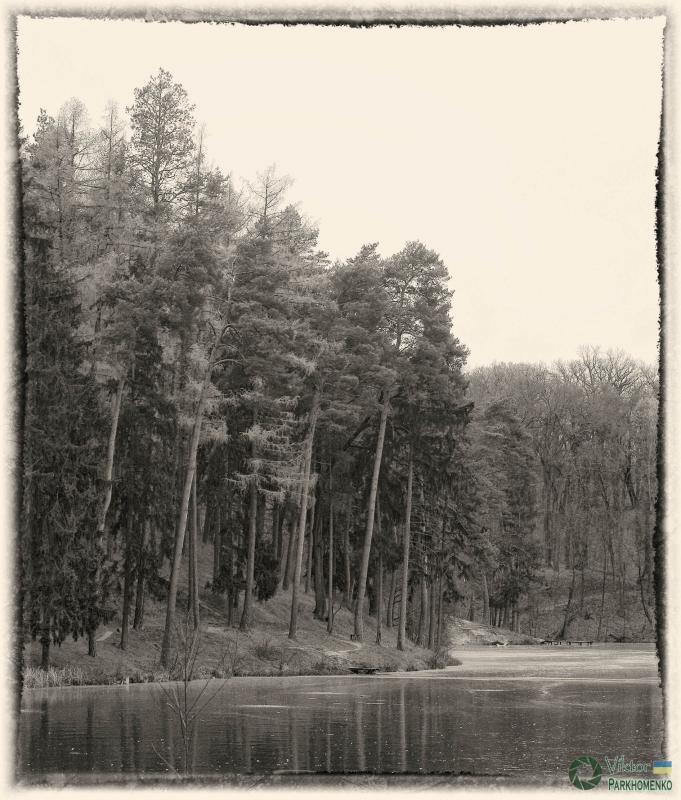 IMG 0837 7