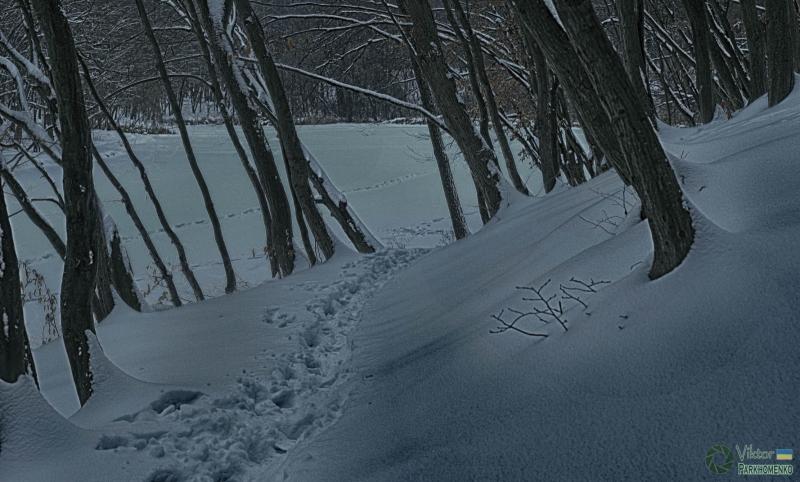 Голосіївський парк (3)