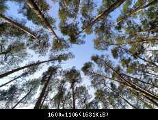 !IMG 20200328 131413