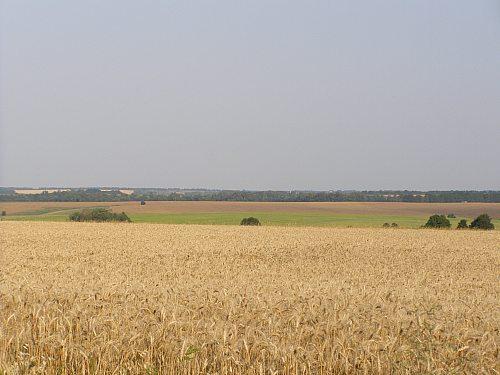 Сумы-Краснополье