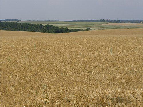 Сумы-Краснополье