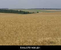 Сумы-Краснополье