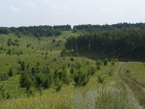 Сумы-Краснополье