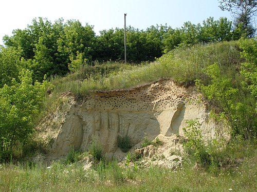 Сумы-Краснополье