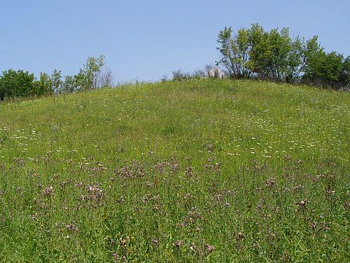 Сумы-Краснополье