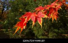 20171016 121146