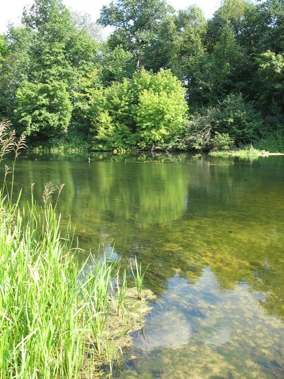 Image00018