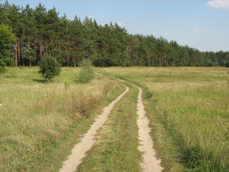 Image00028