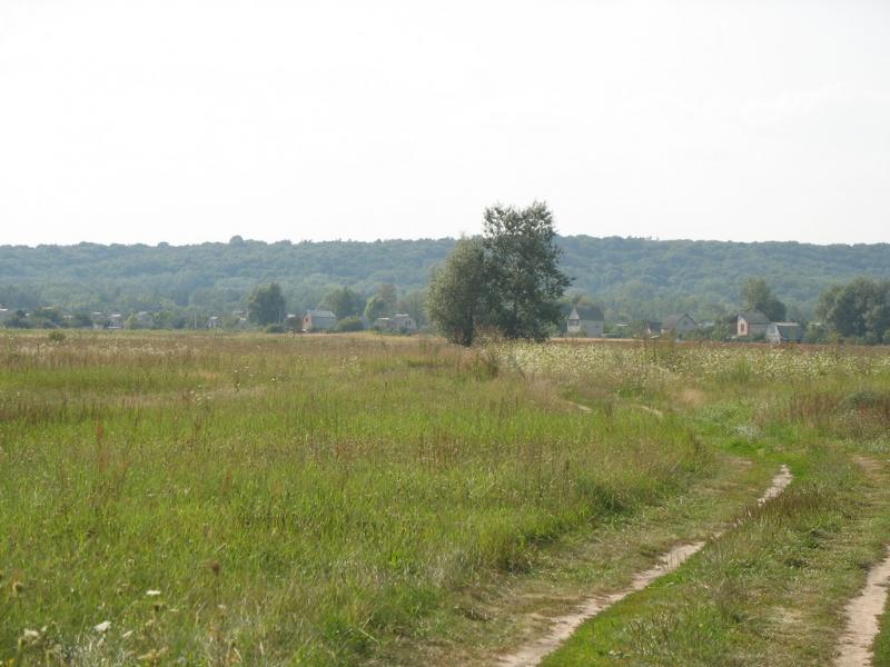 Image00029