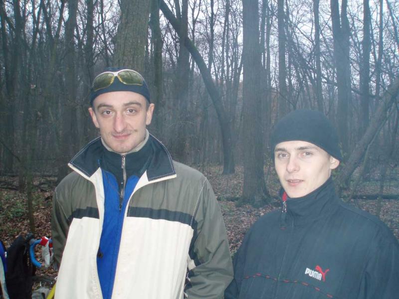  13,  мыш.jp