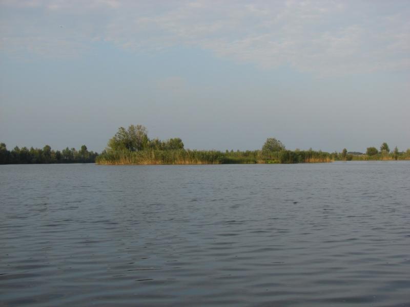 DSC08464