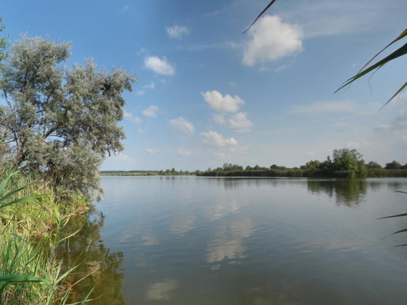 DSC08417 Panorama
