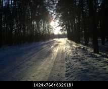 25.02.11_солнечный день в зимнем лесу