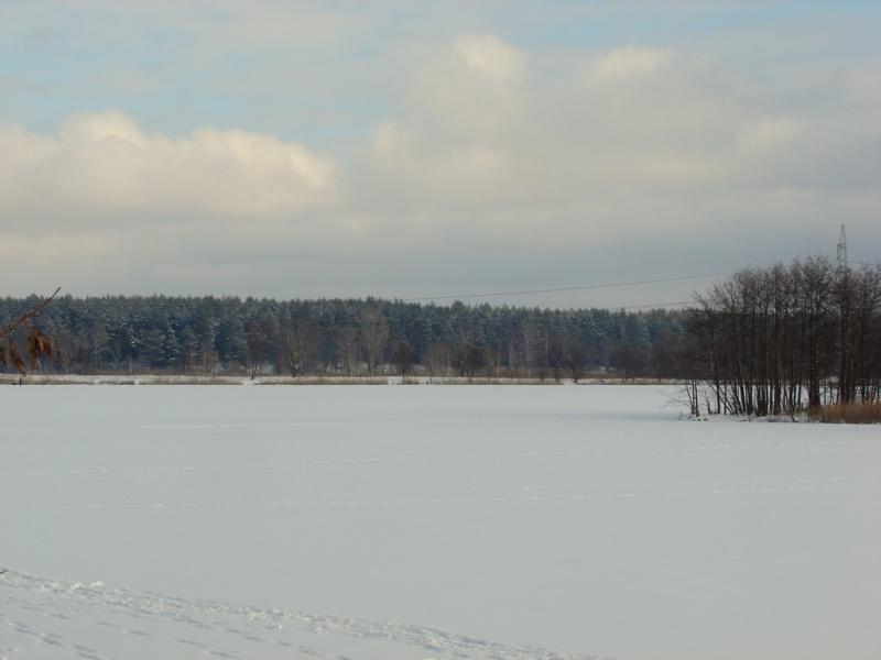 DSC04105