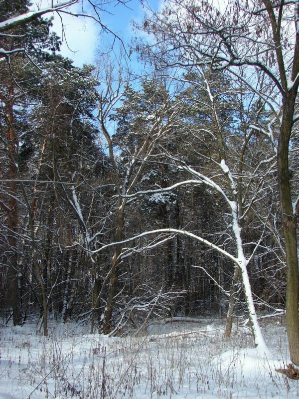 DSC04127