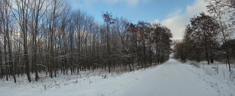 DSC04129 Panorama
