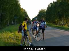 IMG 6339